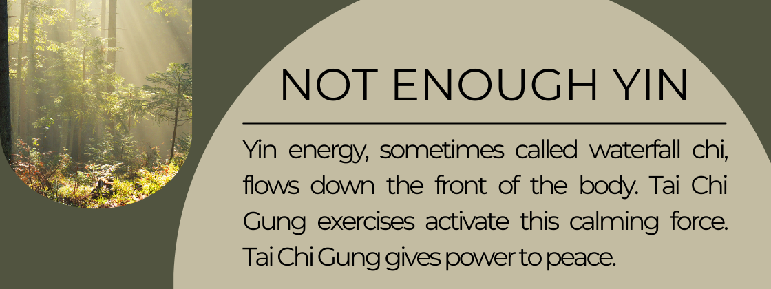 Yin energy, sometimes called waterfall chi, flows down the front of the body. Tai Chi Gung exercises activate this calming force. Tai Chi Gung gives power to peace.