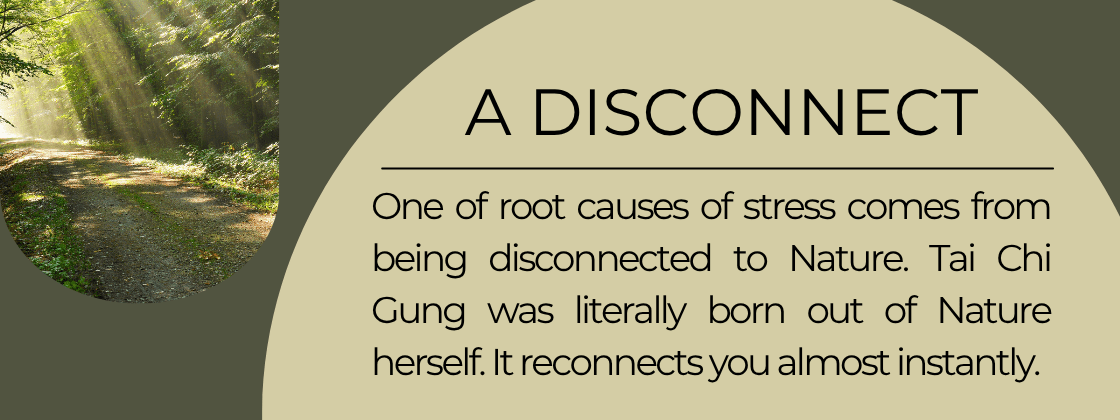 A disconnect: One of the root causes of stress comes from being disconnected to Nature. Tai Chi Gung was literally bor out of Nature herself. It reconnects you almost instantly. 