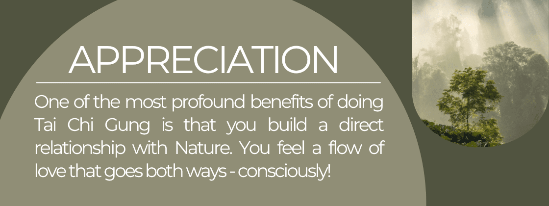 Appreciation: One of the most profound benefits of doing Tai Chi Gung is that you build a direct relationship with Nature. You feel a flow of love that goes both ways - consciously. 
