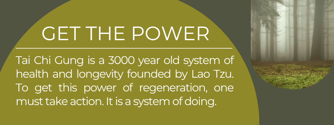 Get the Power: Tai Chi Gung is a 3000 year old systme of health and longevity founded by Lau Tzu. To get this power of regeneration, one must take action. It is a system of doing.