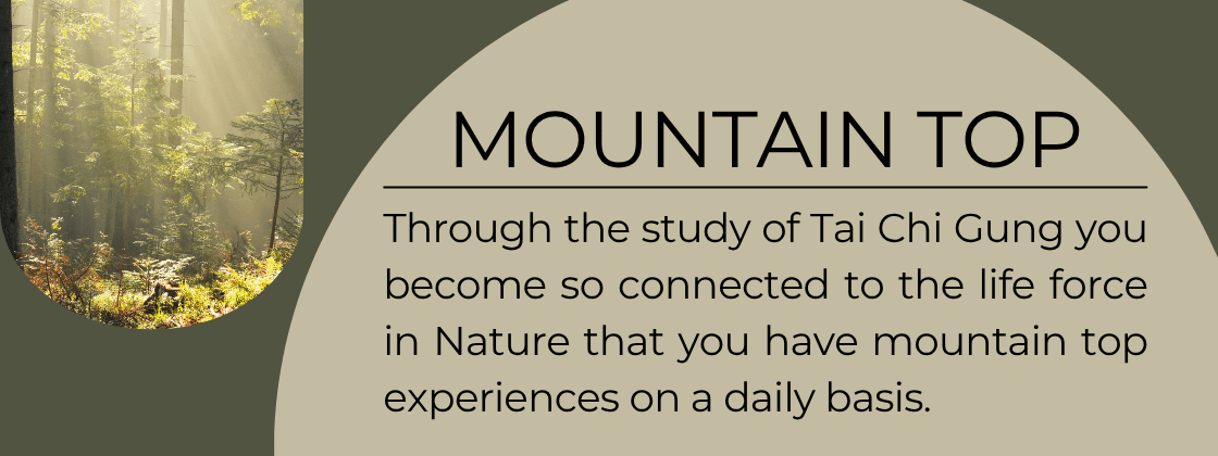 Mountain Top Experiences: Through the study of Tai Chi Gung you become so connected to the life force in Nature that you have mountain top experiences on a daily basis. 