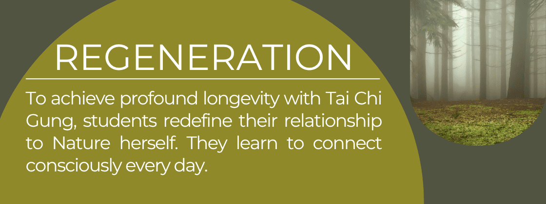 Regeneration: To achieve profound longevity in Tai Chi Gung, students redefine their relationship to Nature herself. They learn to connect consciously every day. 