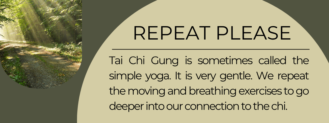 Repeat Please: Tai Chi Gung is sometimes called the simple yoga. It is very gentle. We repeat the moving and breathing exercises to go deeper into our connection to the chi.