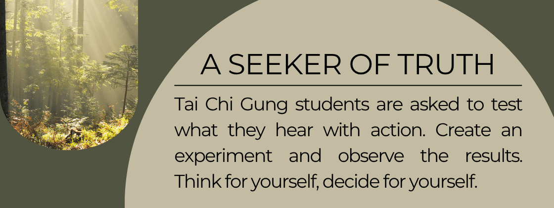 A Seeker of Truth: Tai Chi Gung students are asked to test what they hear with action. Create an experiment and observe the results. Think for yourself, decide for yourself.