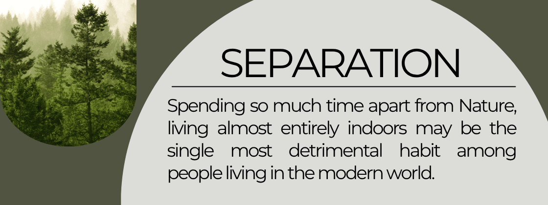 Separation: Spending so much time apart from Nature, living almost entirely indoors may be the single most detrimental habit among people living in the modern world. 