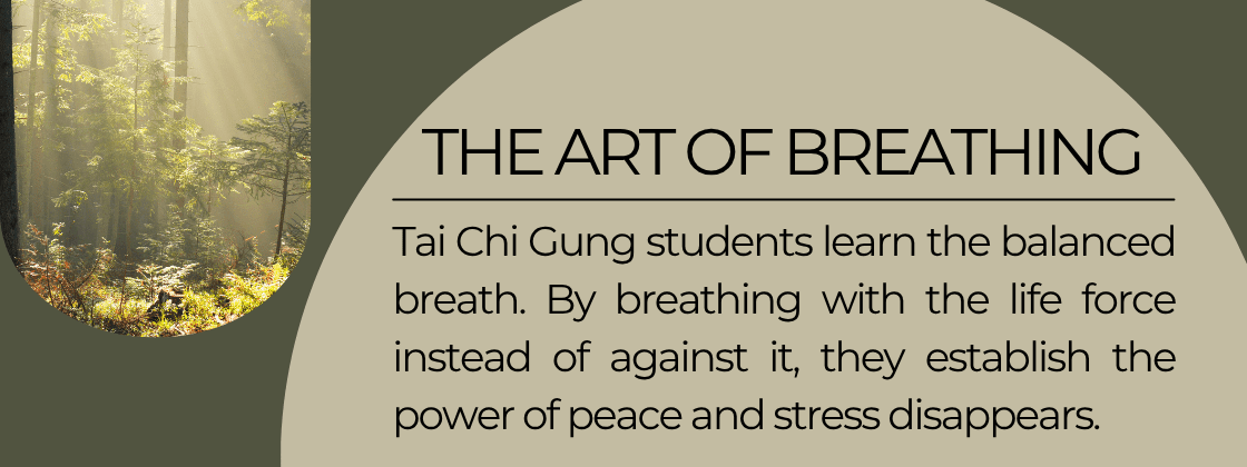 The Art of Breathing: Tai Chi Gung students learn to the balanced breath. By breathing with the life force instead of against it, they establish the power of peace and stress disappears.