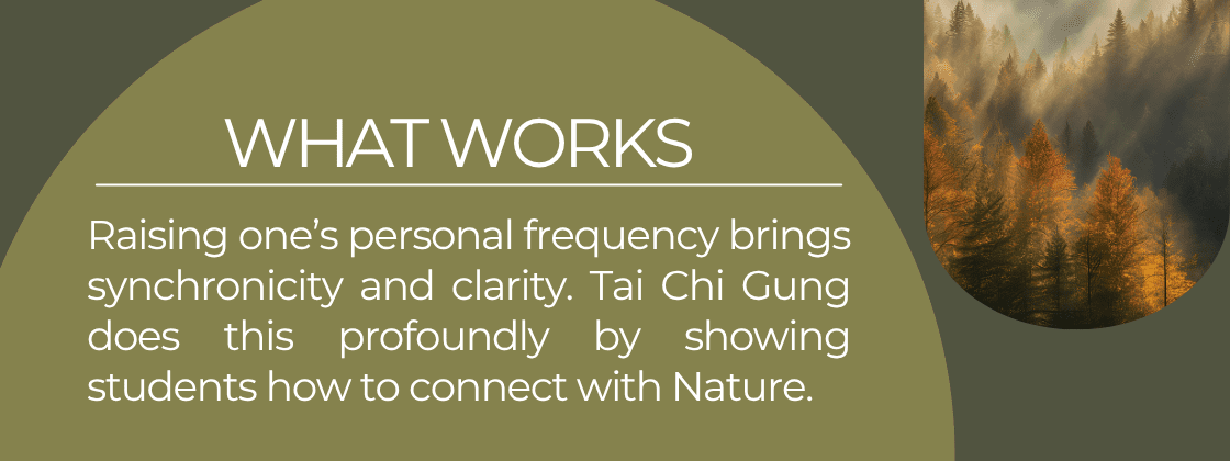 What Works: Raising one's personal frequeny brings synchronicity and clarity. Tai Chi Gung does this profoundly by showing students how to connect  with Nature.