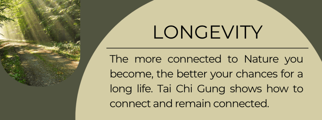 Longevity: The more connected to Nature you become, the better your chances for a long life. Tai Chi Gung shows how to connect and remain connected.