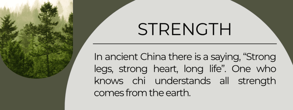 Strength: In ancient China there is a saying, "Strong legs, strong heart, long life". One who knows chi understands all strength comes from the earth. 