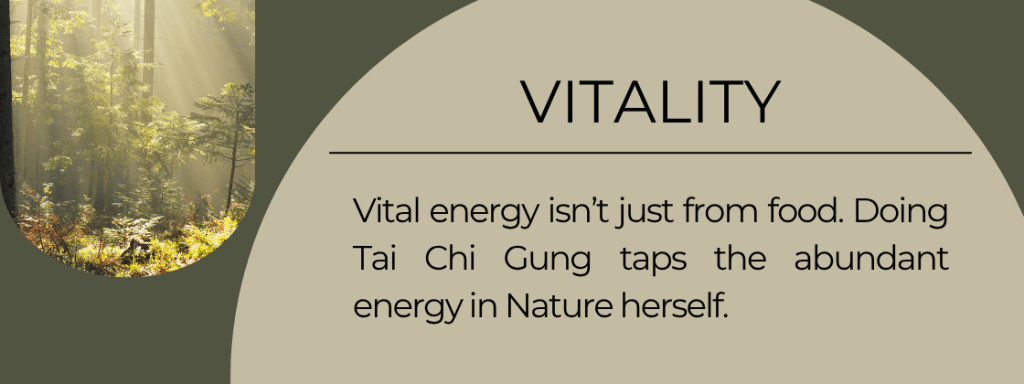 Vitality: Vital energy isn't just from food. Doing Tai Chi Gung taps the abundant energy in Nature herself. 